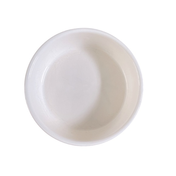 RAE DUNN➕Fish Bowl Embellished Cat Dish - Picture 4 of 5